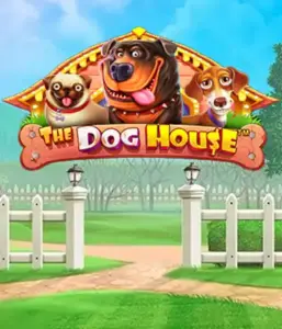 Pragmatic Play's The Dog House, offering a delightful adventure into the world of playful pups. Discover gameplay elements such as sticky wilds, perfect for providing joyful moments. Ideal for pet lovers a cheerful setting with a chance for big wins.