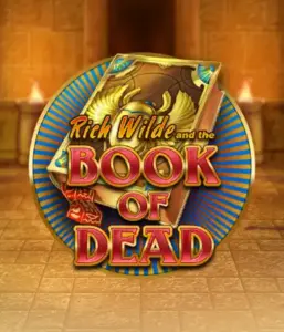 Embark on the thrilling world of Book of Dead Slot by Play'n GO, featuring vivid graphics of Rich Wilde's journey through ancient Egyptian tombs and artifacts. Discover lost riches with exciting mechanics like free spins, expanding icons, and a gamble option. Ideal for those seeking adventure with a desire for unearthing secrets.